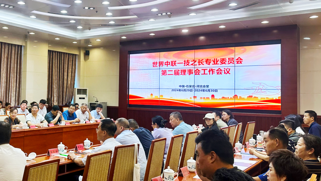 世界中联任职与学术交流